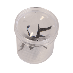 Bug Viewer