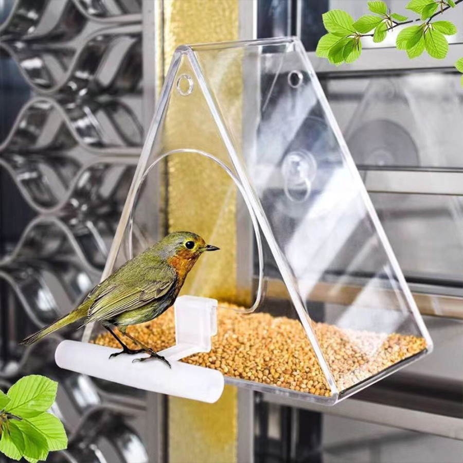 Bird Feeder